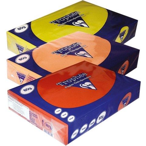 Papier Trophee A4/80g zieleń choinkowa (500) Papier Trophee A4/80g zieleń choinkowa (500)