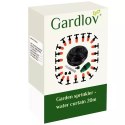 Zraszacz ogrodowy- kurtyna wodna 20m Gardlov 21213